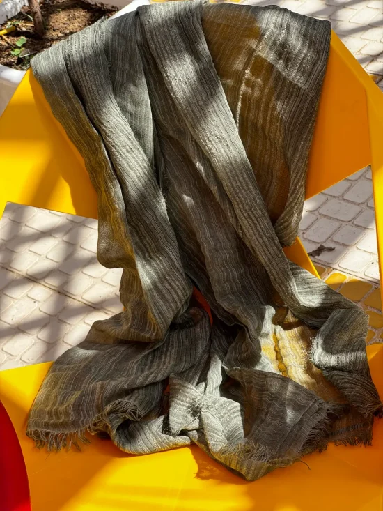 شال ژینوس شال ژینوس